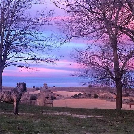 Apartamento Ribera Del Duero Reserva Tubilla del Lago エクステリア 写真