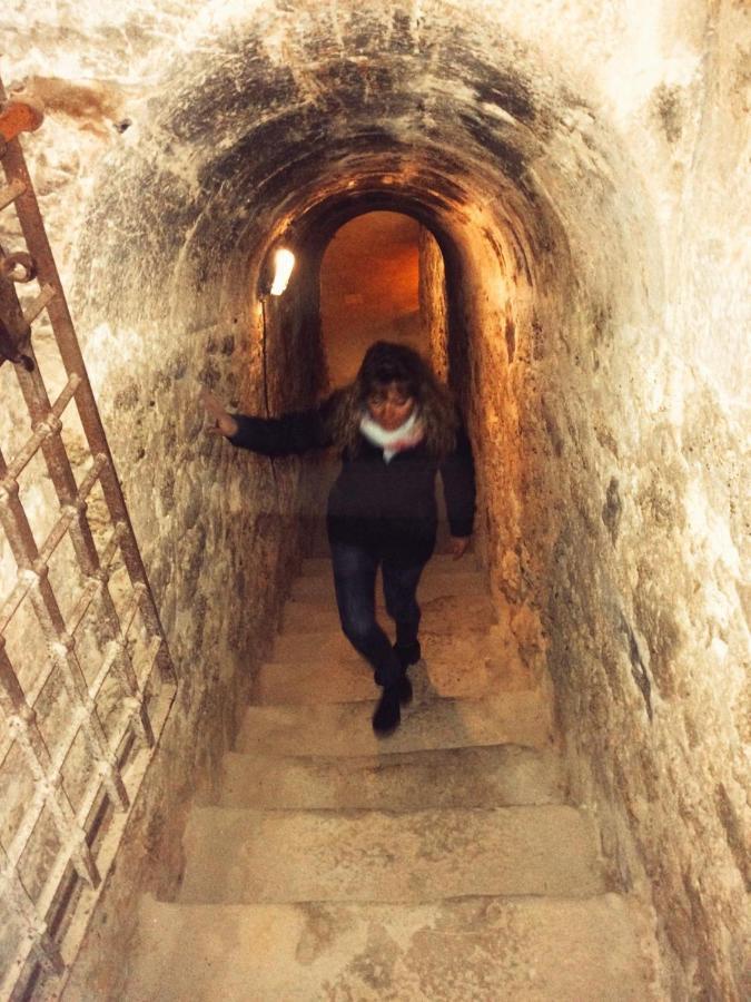 Apartamento Ribera Del Duero Reserva Tubilla del Lago エクステリア 写真