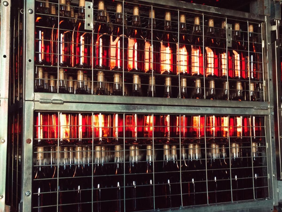 Apartamento Ribera Del Duero Reserva Tubilla del Lago エクステリア 写真