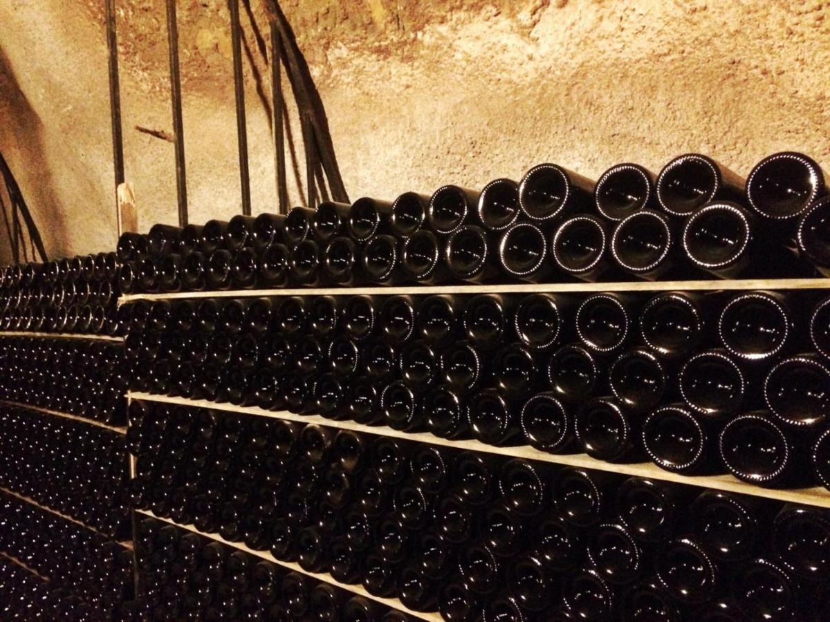 Apartamento Ribera Del Duero Reserva Tubilla del Lago エクステリア 写真