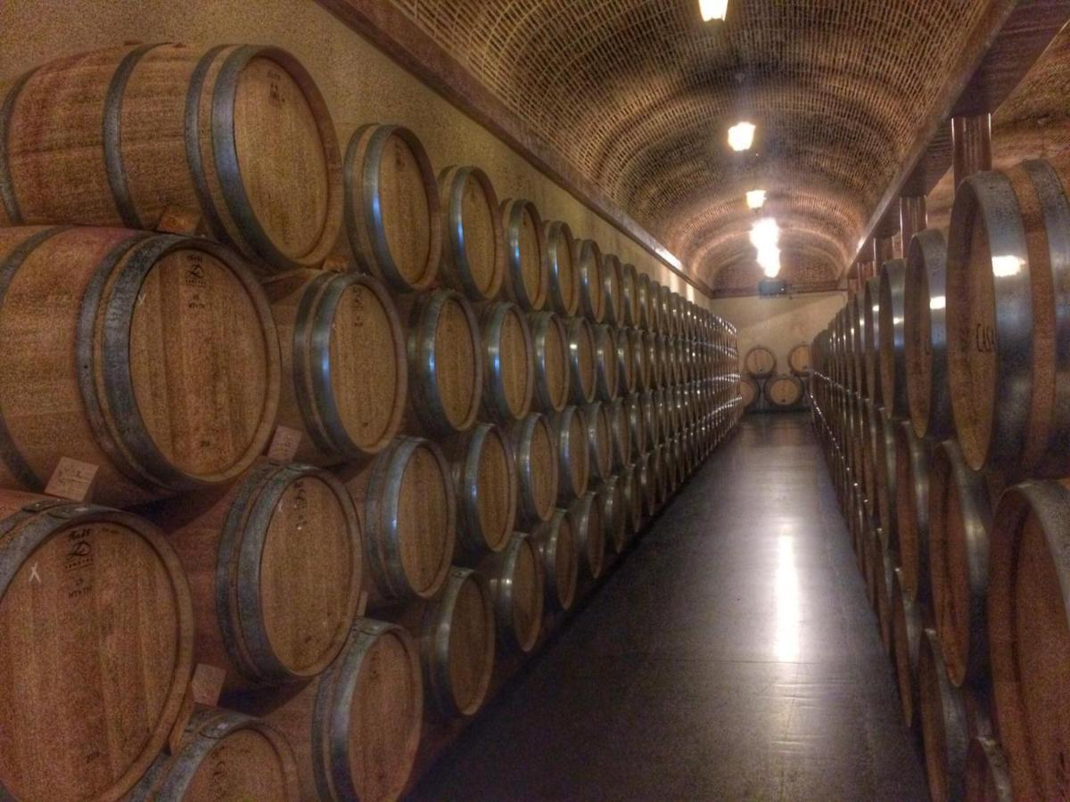 Apartamento Ribera Del Duero Reserva Tubilla del Lago エクステリア 写真