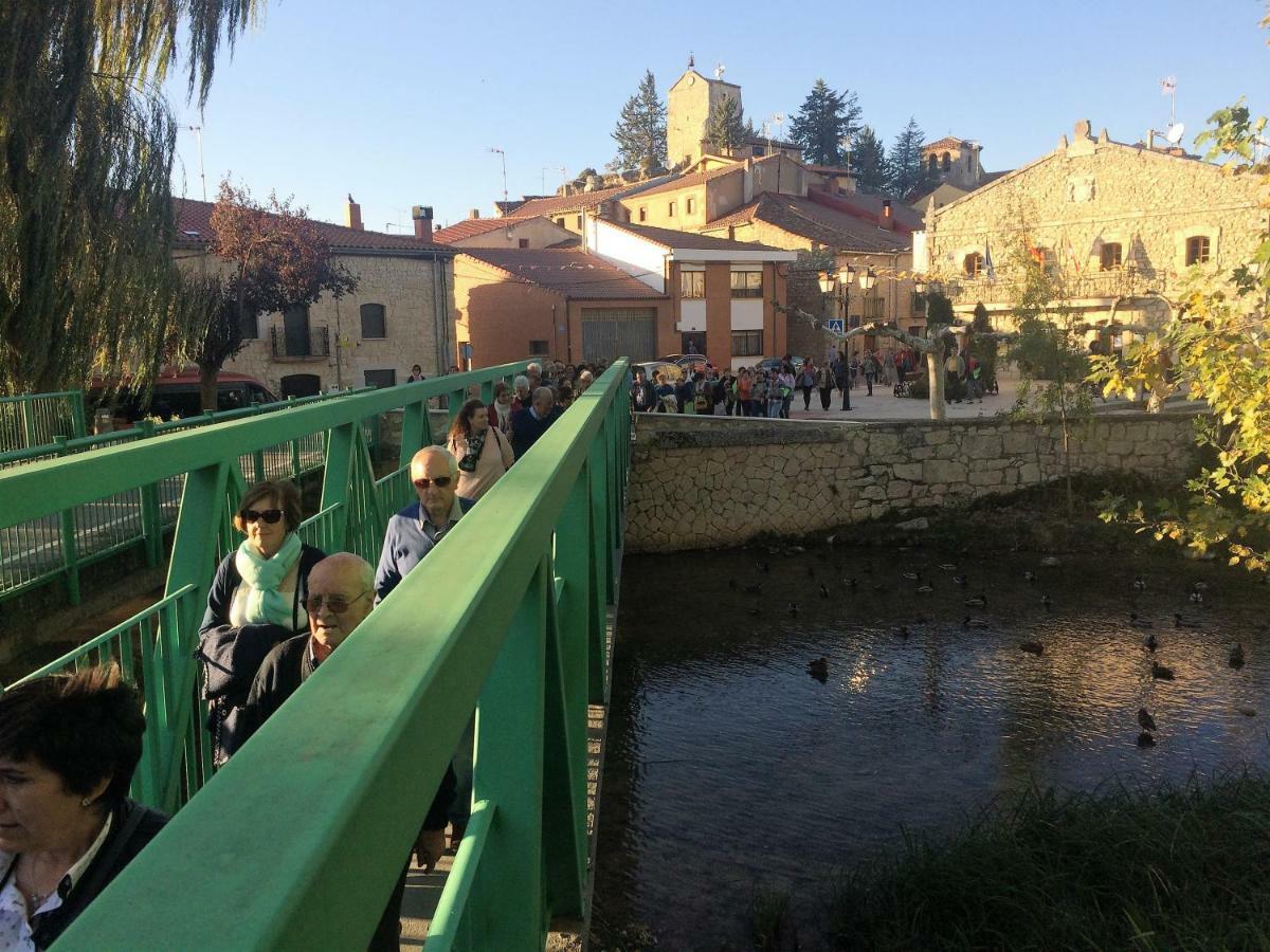 Apartamento Ribera Del Duero Reserva Tubilla del Lago エクステリア 写真